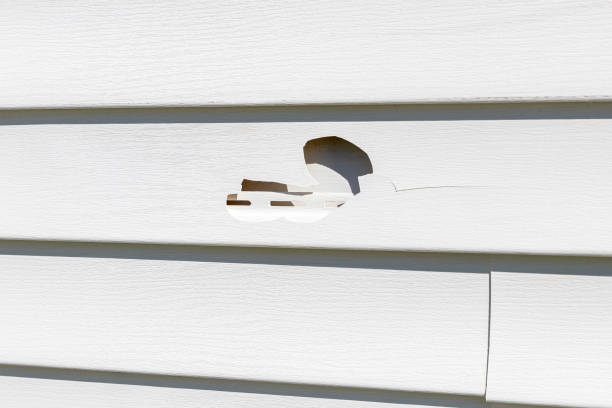 Best Fiber Cement Siding Installation  in Kenilworth, NJ