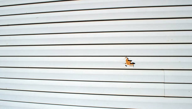 Professional Siding Installation & Repair in Kenilworth, NJ