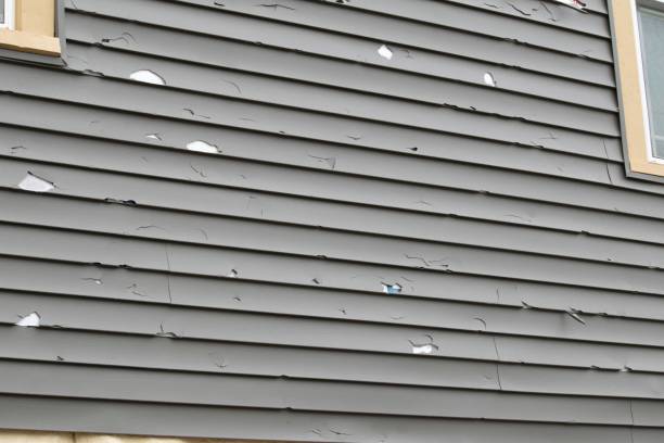 Best Siding for Multi-Family Homes  in Kenilworth, NJ