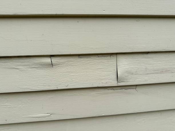 Best James Hardie Siding  in Kenilworth, NJ